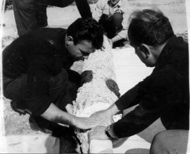 Αποκόλληση Ψηφιδωτού Δαπέδου